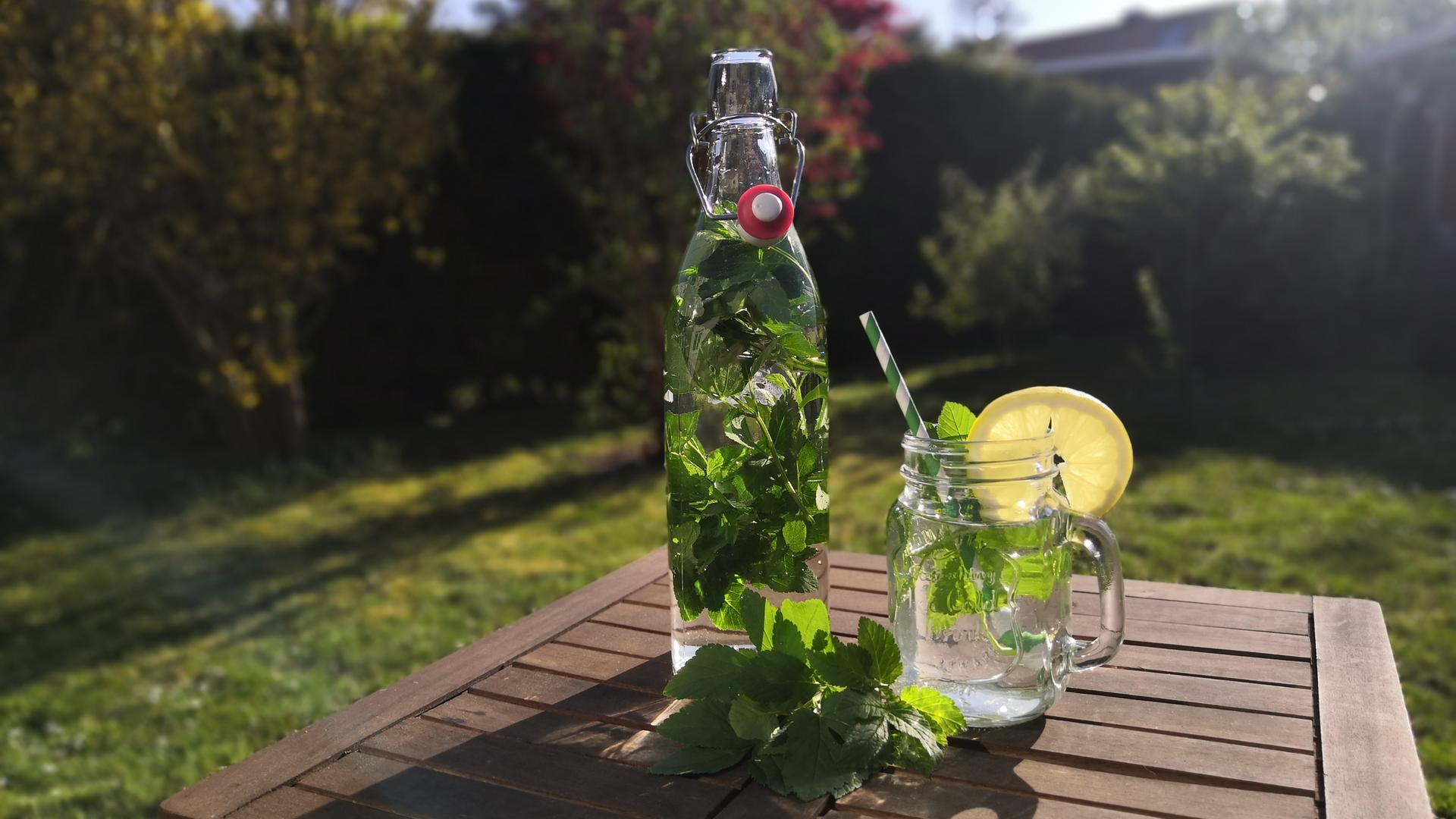 Spinat und Limonade mit Giersch | hr4.de | Rezepte