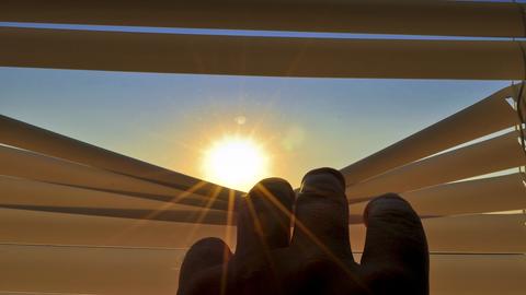 Blick durch Jalousien auf die Sonne