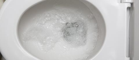 Spülung einer Toilette