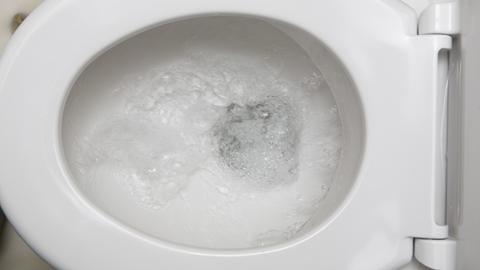 Spülung einer Toilette