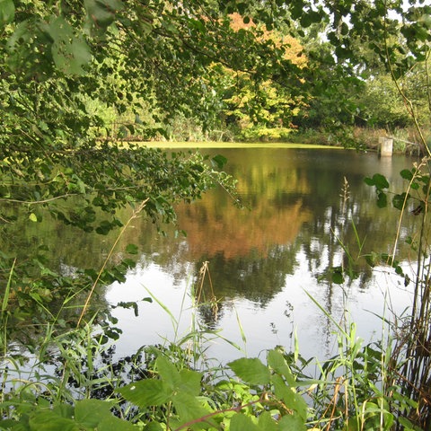 Schächerbachtour