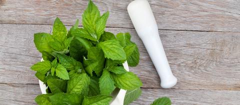 Frische Minze im Mörser