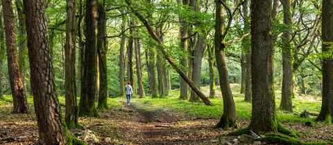 Frau auf einem Wanderweg bei Oberursel